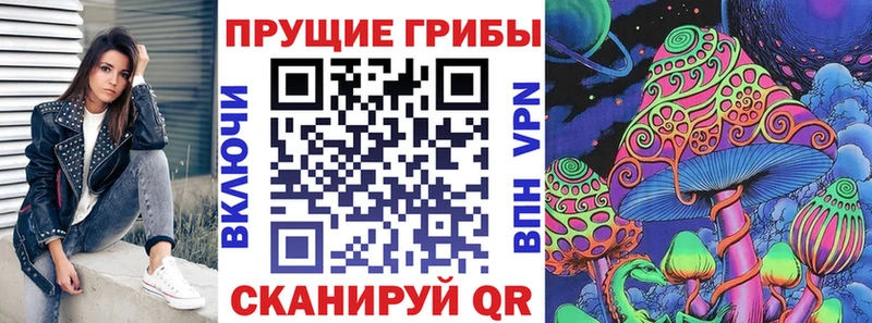 Галлюциногенные грибы MAGIC MUSHROOMS  Купить закладки  Элиста 