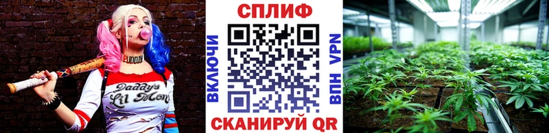 Купить  Элиста  Канабис White Widow 